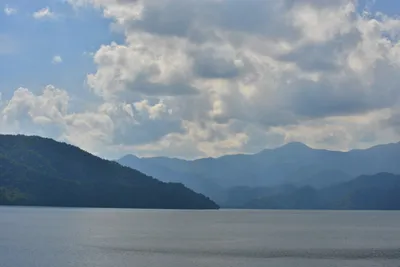 DSC_3915 (Large).JPG